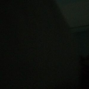 Meet your Posher, Maddy